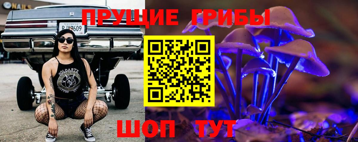 Псилоцибиновые грибы GOLDEN TEACHER Чусовой